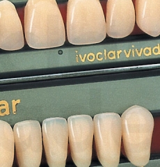 Ivostar Acrylic Teeth